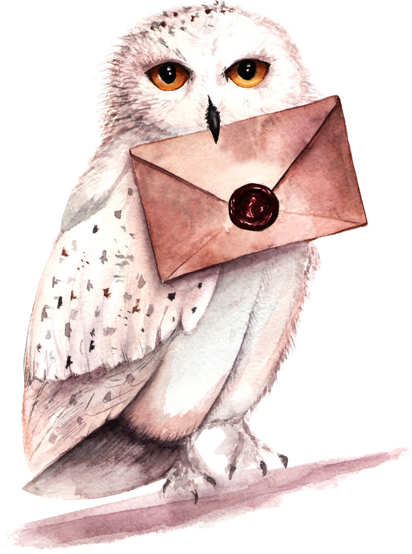 Watercolor Owl With Letter Illustration